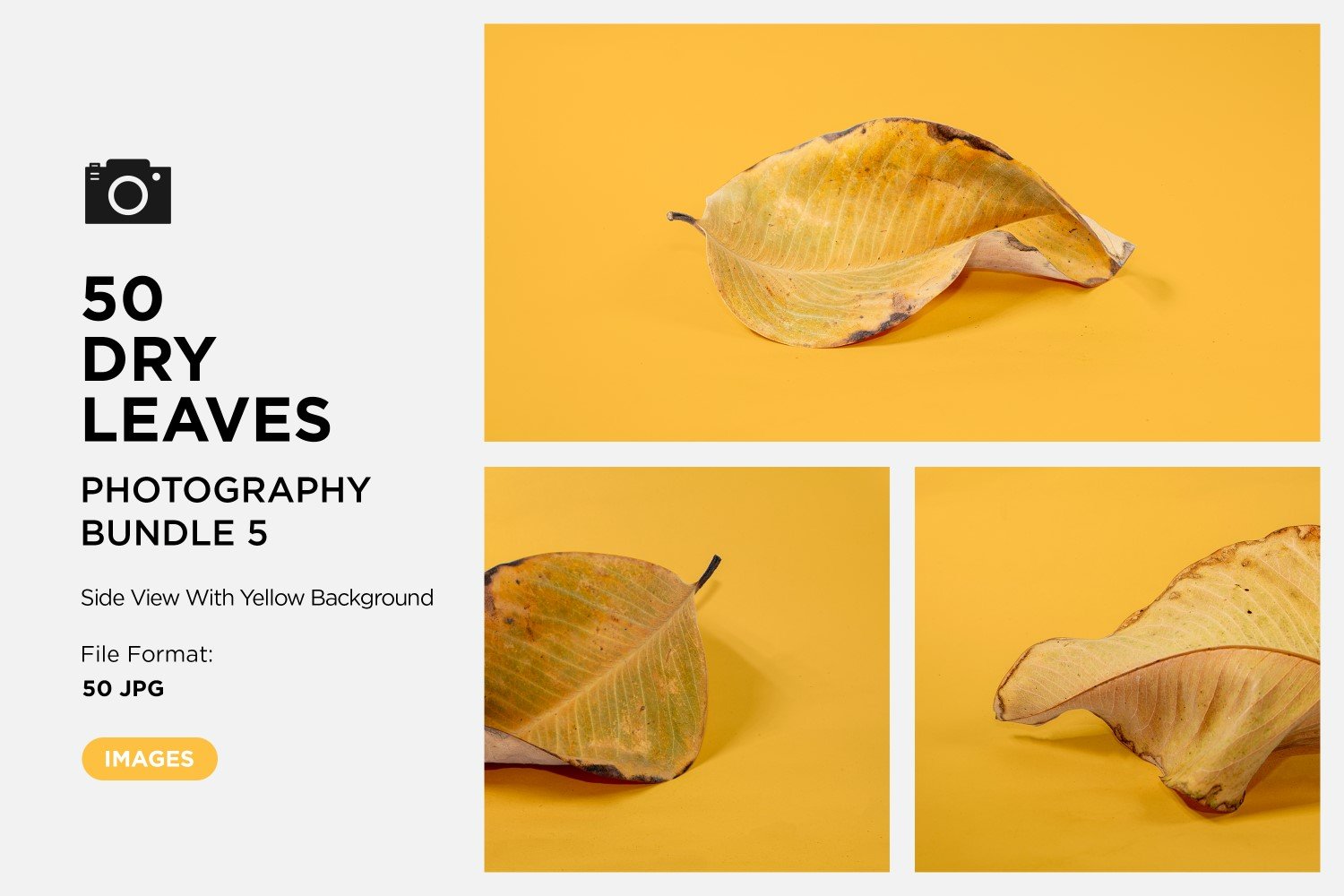 Kit Graphique #361578 Dead Leaf Divers Modles Web - Logo template Preview