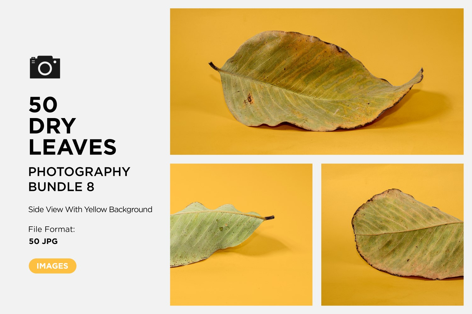 Template #361579 Leaf Dry Webdesign Template - Logo template Preview