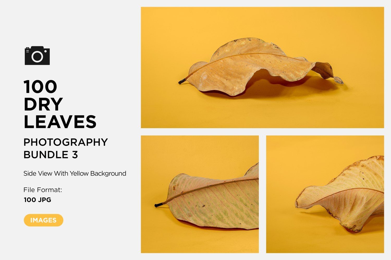 Kit Graphique #361580 Dead Leaf Divers Modles Web - Logo template Preview