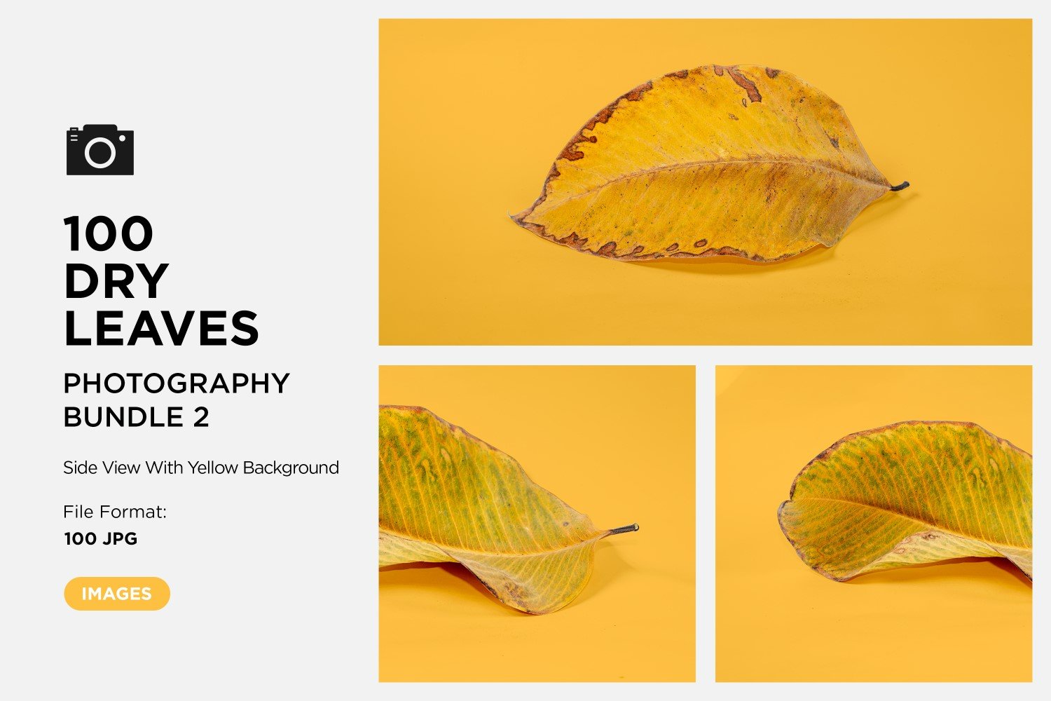 Kit Graphique #361581 Dead Leaf Divers Modles Web - Logo template Preview