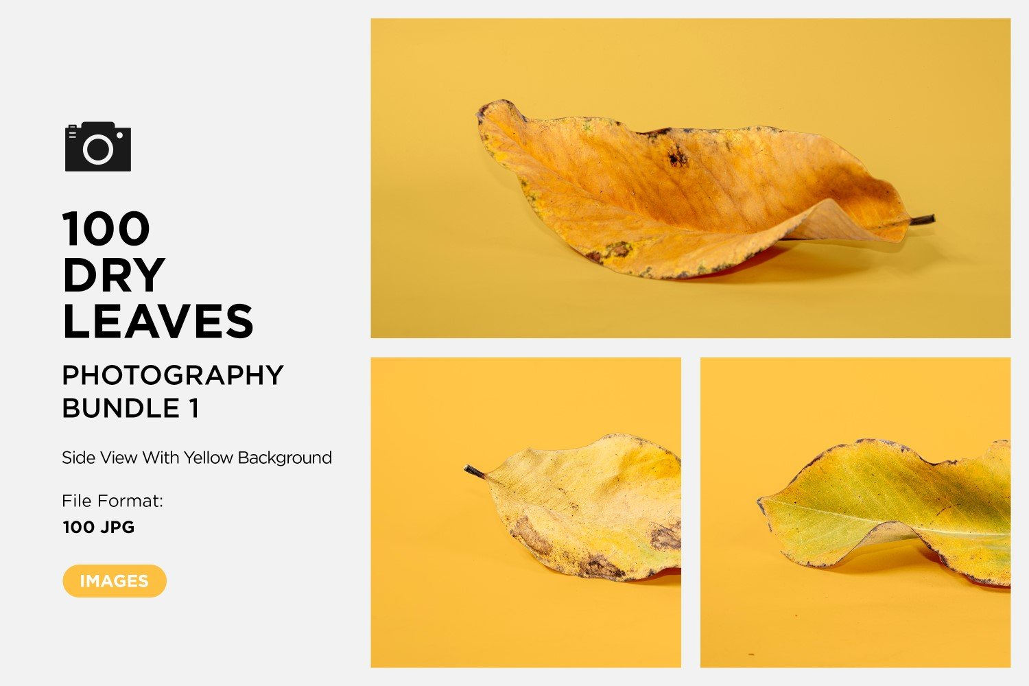 Template #361582 Leaf Dry Webdesign Template - Logo template Preview