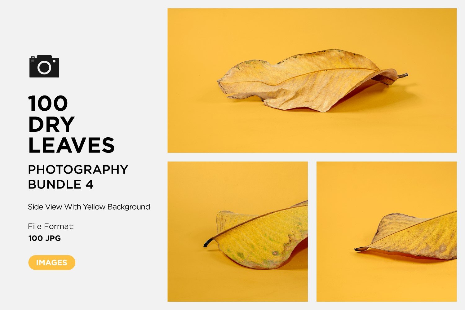 Template #361583 Leaf Dry Webdesign Template - Logo template Preview