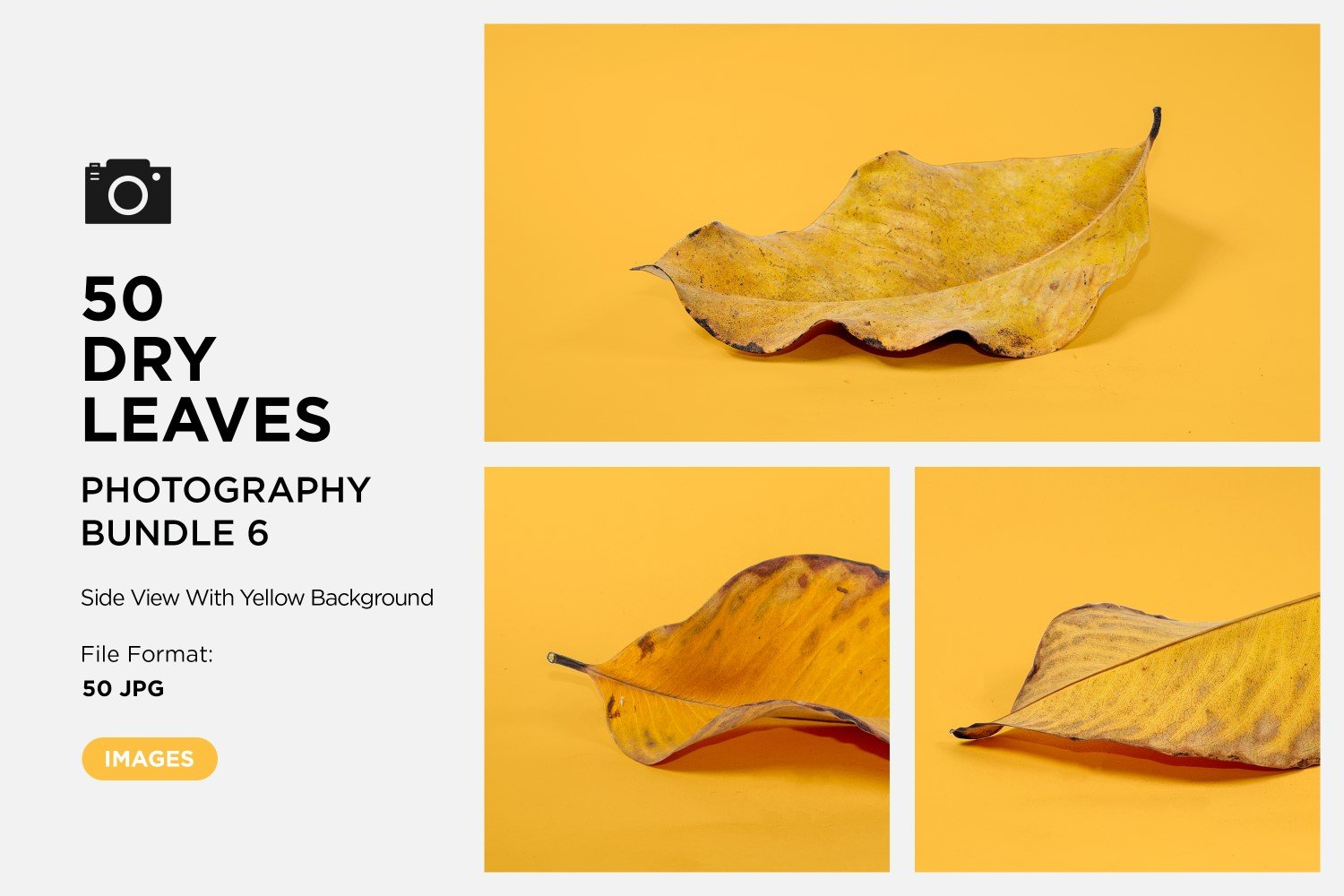 Template #361584 Leaf Dry Webdesign Template - Logo template Preview