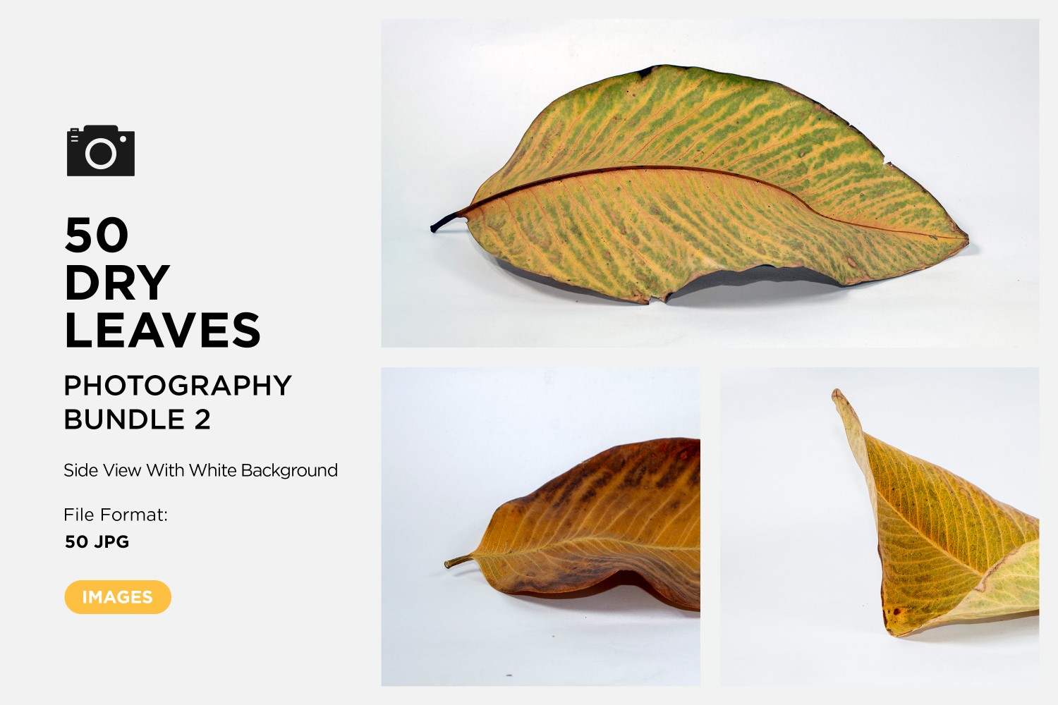 Kit Graphique #361586 Dead Leaf Divers Modles Web - Logo template Preview