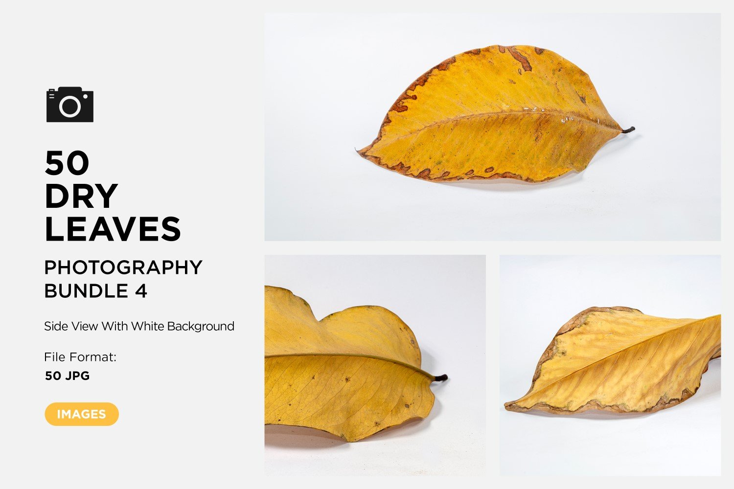 Template #361588 Leaf Dry Webdesign Template - Logo template Preview