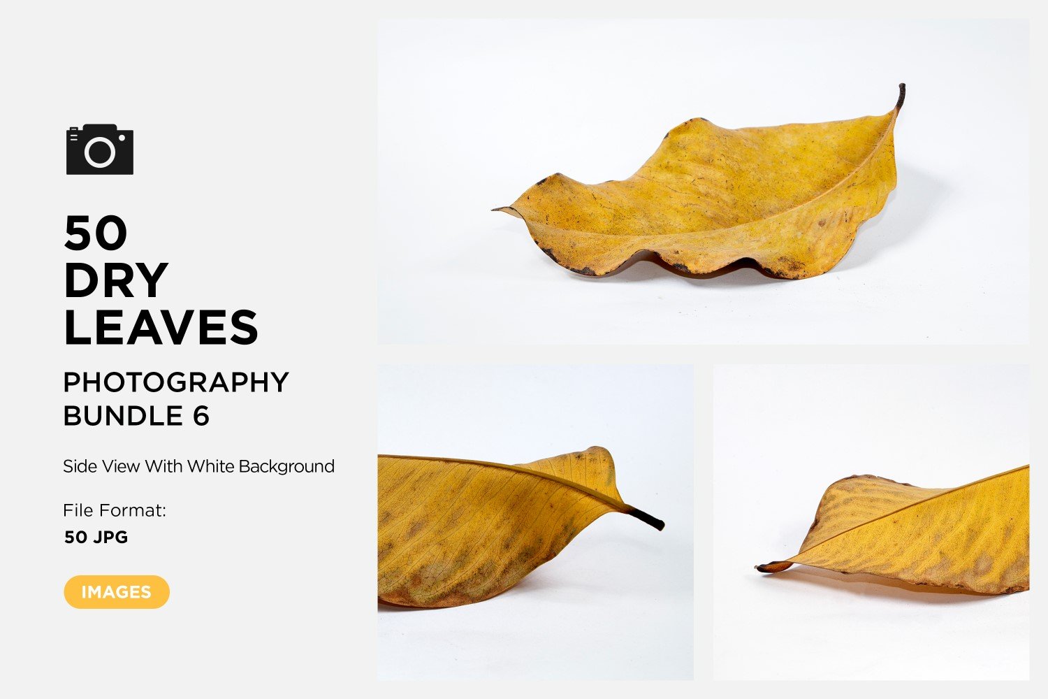 Kit Graphique #361589 Dead Leaf Divers Modles Web - Logo template Preview