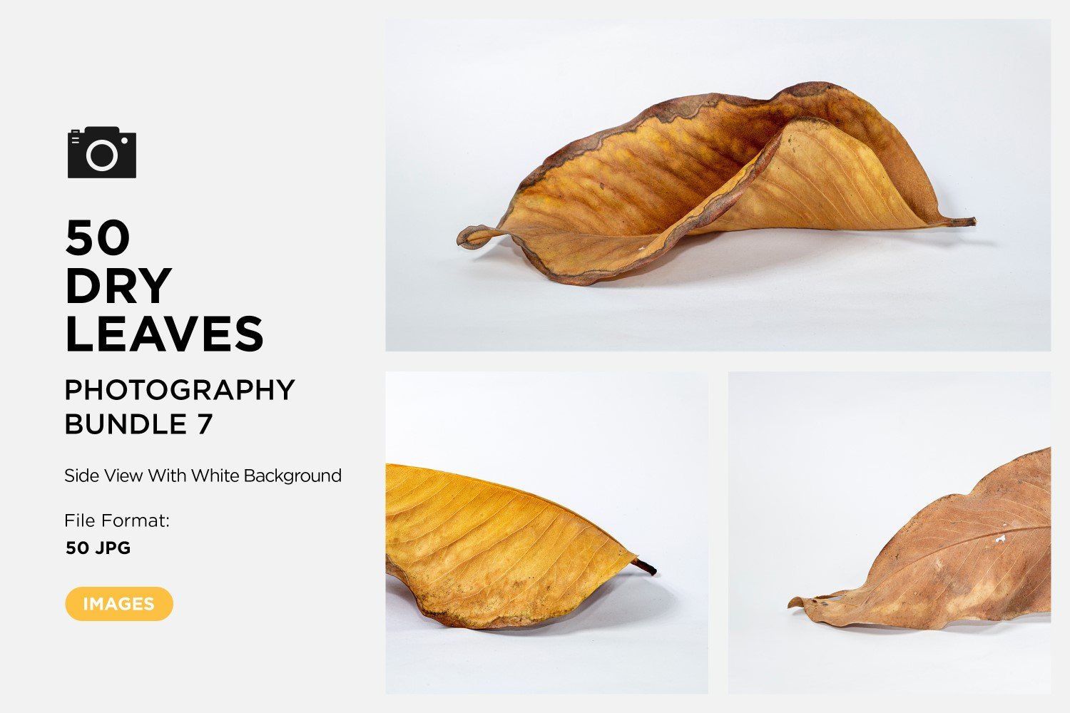 Template #361590 Leaf Dry Webdesign Template - Logo template Preview