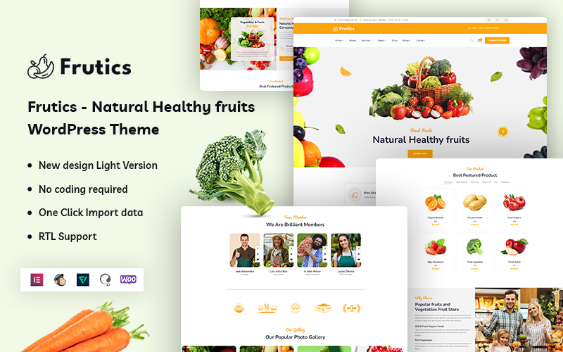 Frutics WordPress Themes 361797