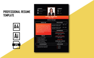 Best Professional Resume Template
