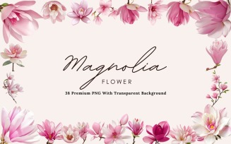 38 Magnolia Flower PNG Clipart
