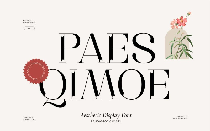 Paes Qimoe Modern Serif Display Font