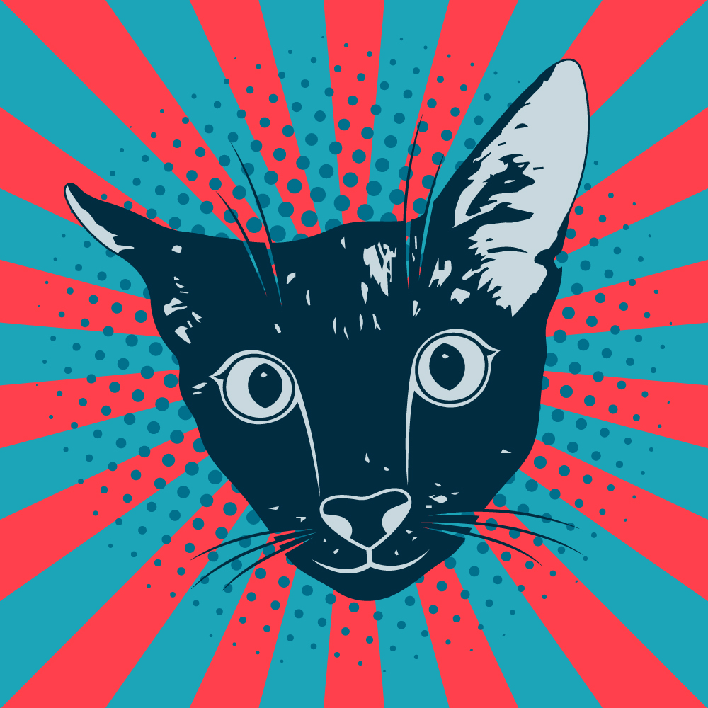 Kit Graphique #363324 Cat Pop Divers Modles Web - Logo template Preview