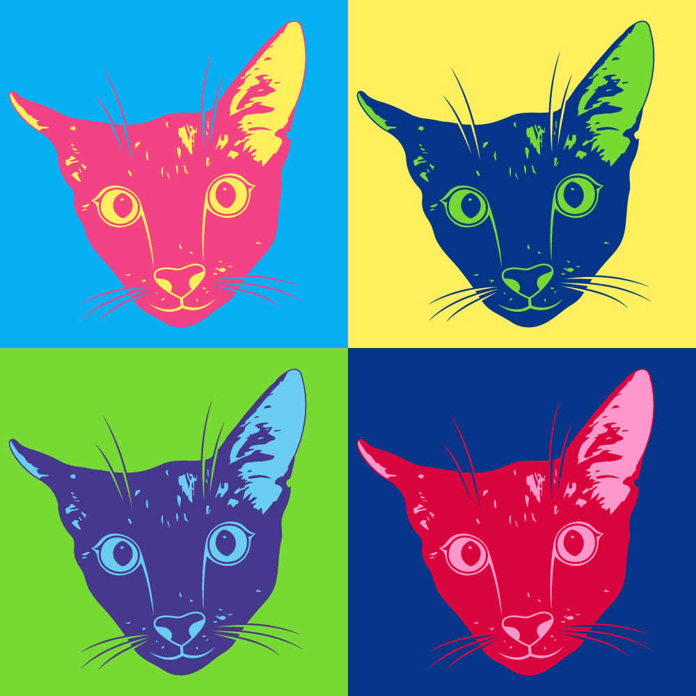 Kit Graphique #363325 Cat Pop Divers Modles Web - Logo template Preview