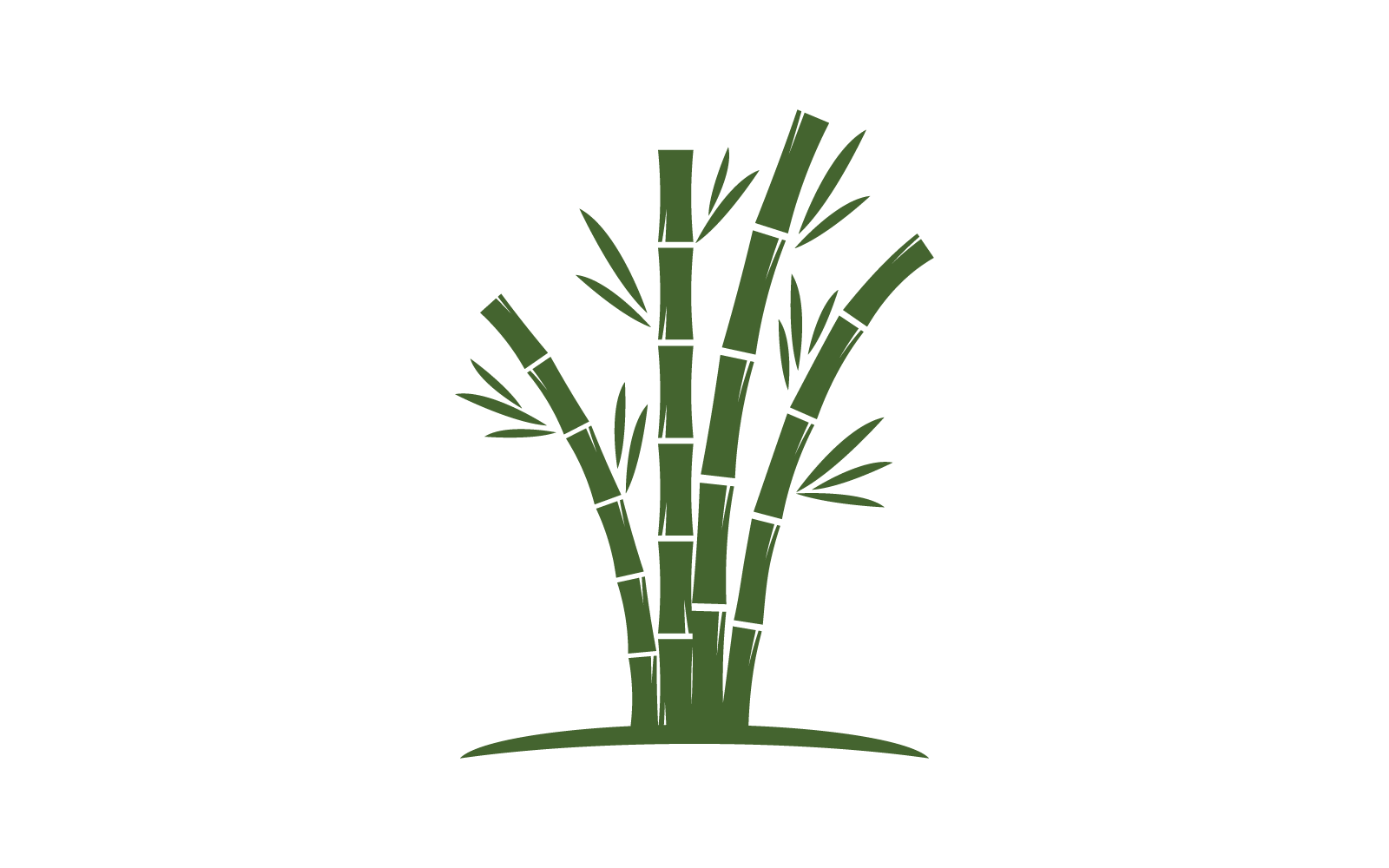 Bamboo with green leaf logo illustration vector template