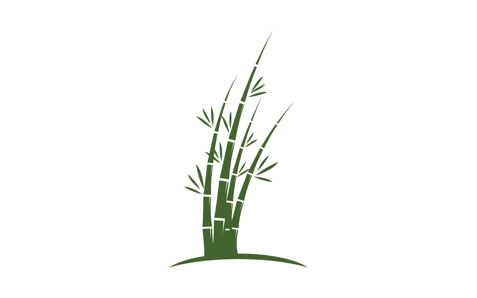 Bamboo with green leaf logo vector template