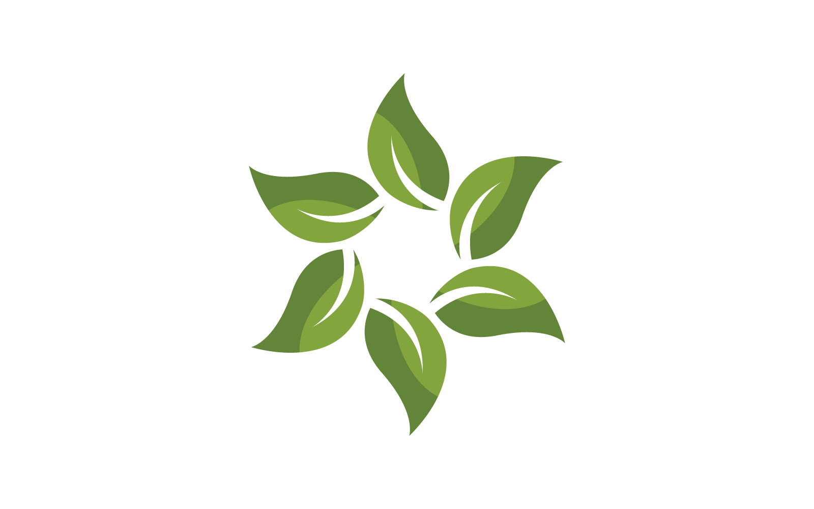 Green leaf logo and symbol nature logo design