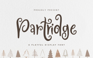 Partridge - Playful Display Font