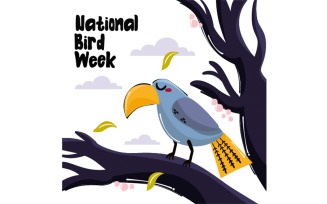 Australian National Bird Week Illustration