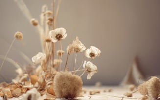 Dried Flowers Still Life White Flora 26