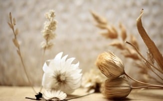 Dried Flowers Still Life White Flora 34