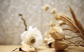 Dried Flowers Still Life White Flora 42