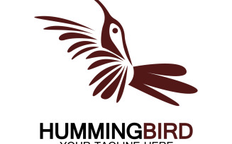 Hummingbird icon logo template v30