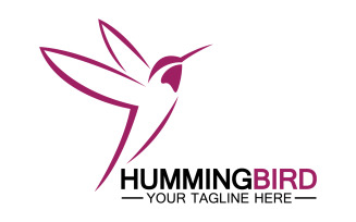 Hummingbird icon logo template v3