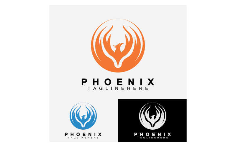 Phoenix bird template logo vector v13 Logo Template