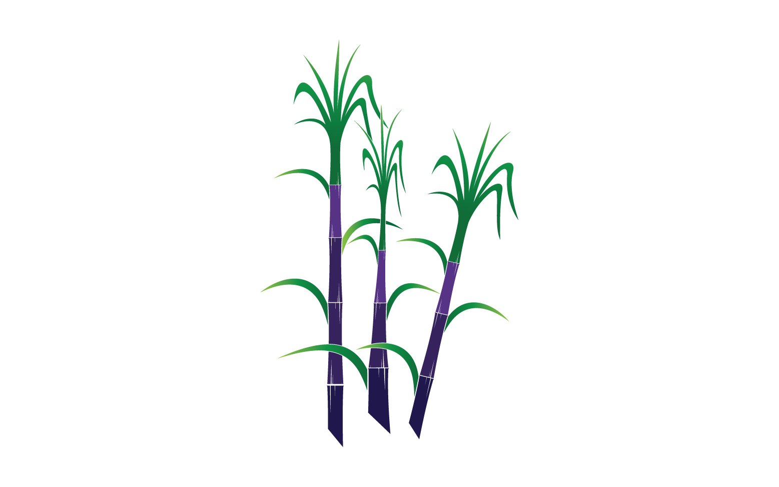 Kit Graphique #365519 Sugarcane Logotype Divers Modles Web - Logo template Preview