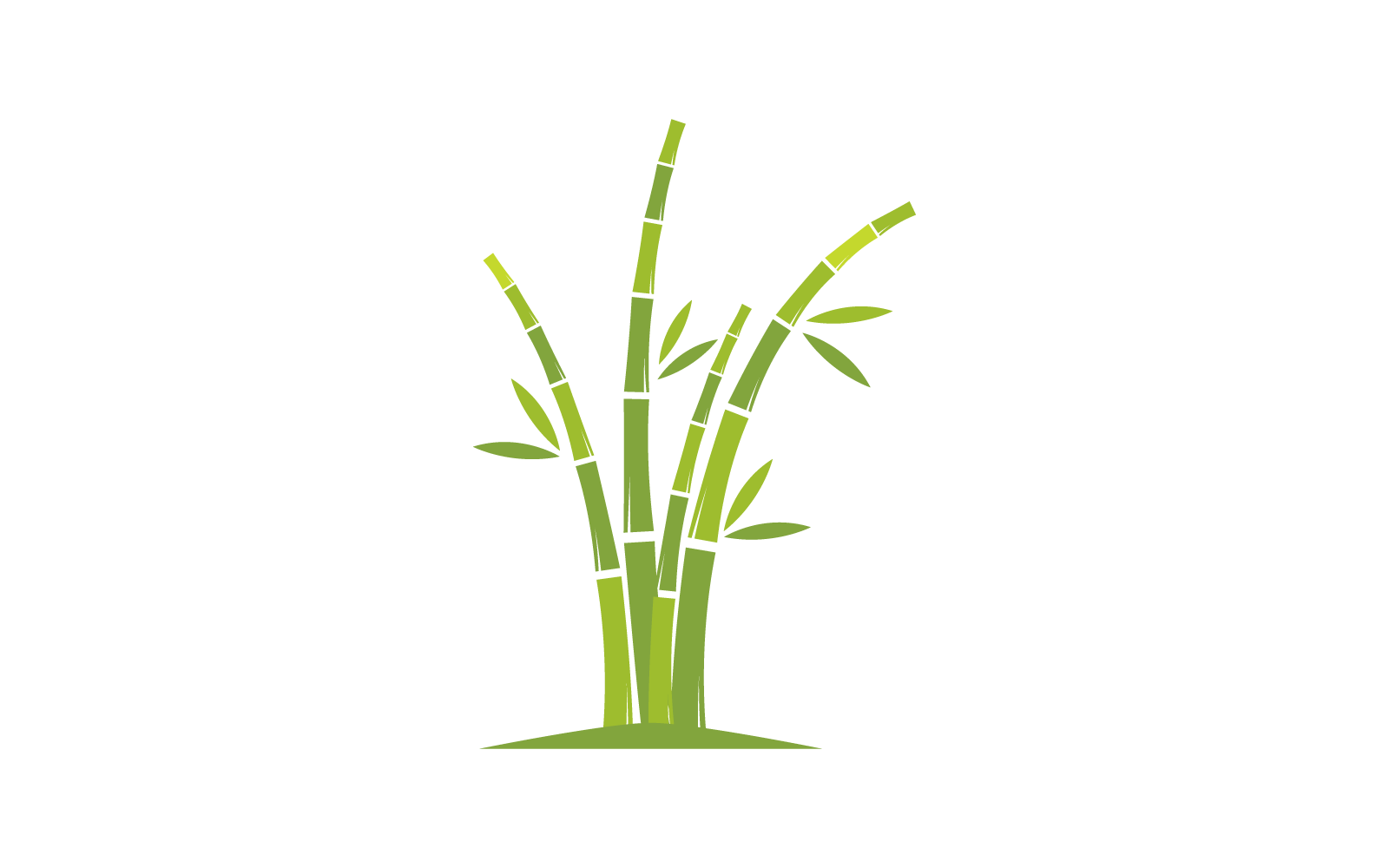 Bamboo with green leaf illustration vector template