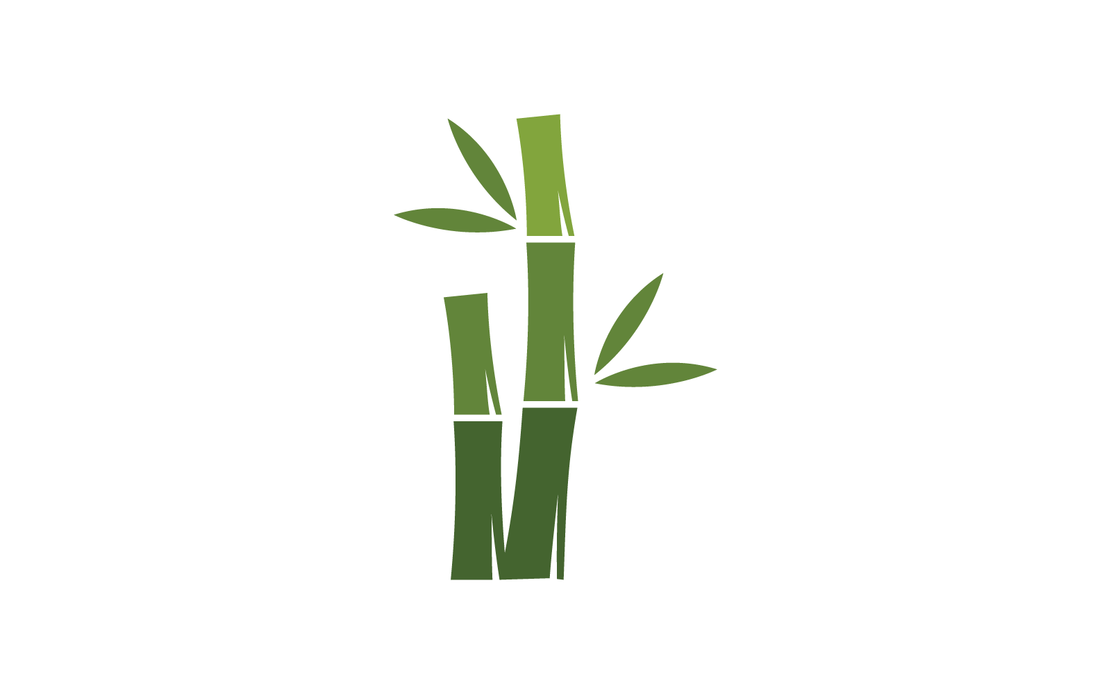 Bambú con plantilla de vector de hoja verde
