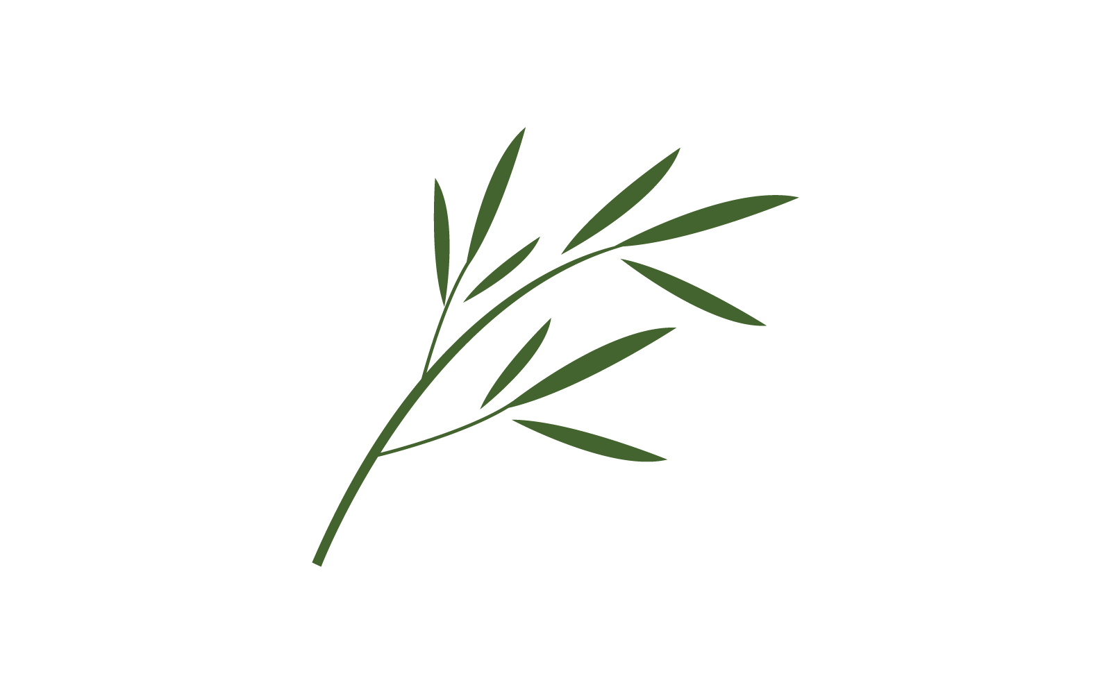 Bambú con plantilla de vector de icono de logotipo de hoja verde