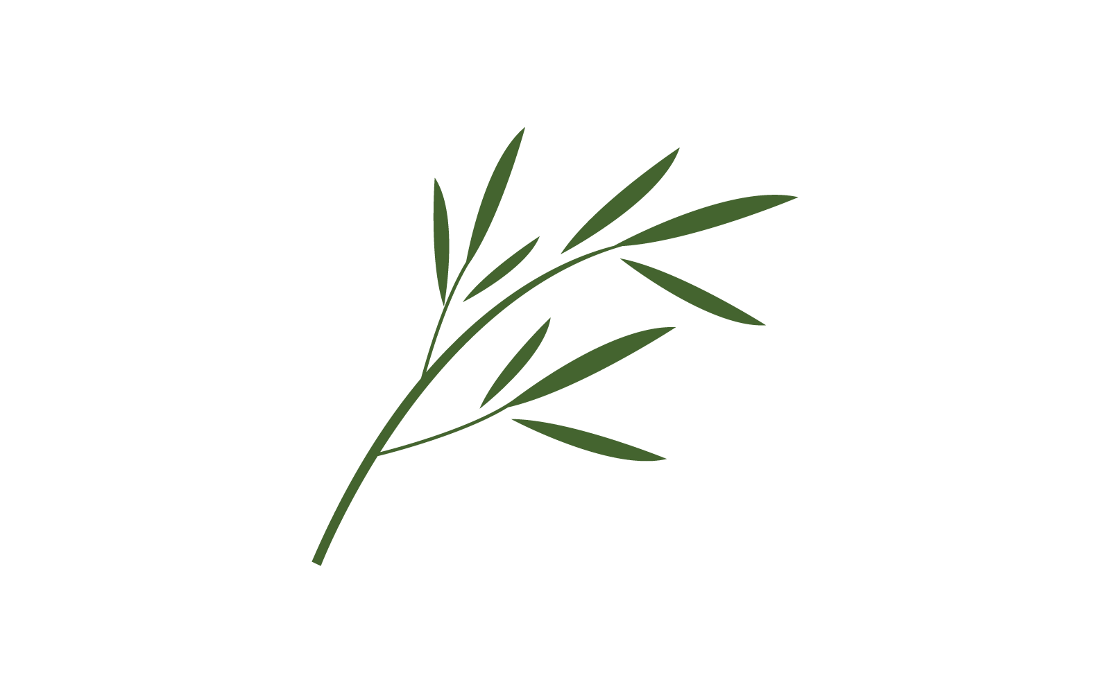 Bambus mit grünem Blatt-Logo-Symbol-Vektor-Vorlage