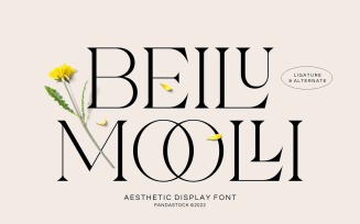 Beilu Moolli Fancy Font Style