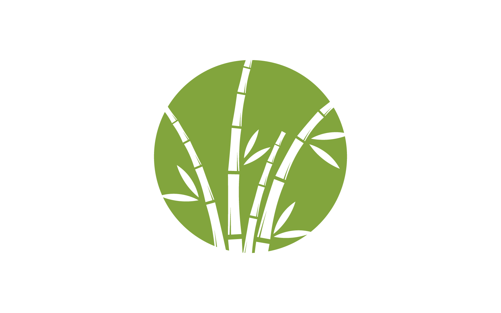 Modelo de vetor de logotipo de bambu verde com folha
