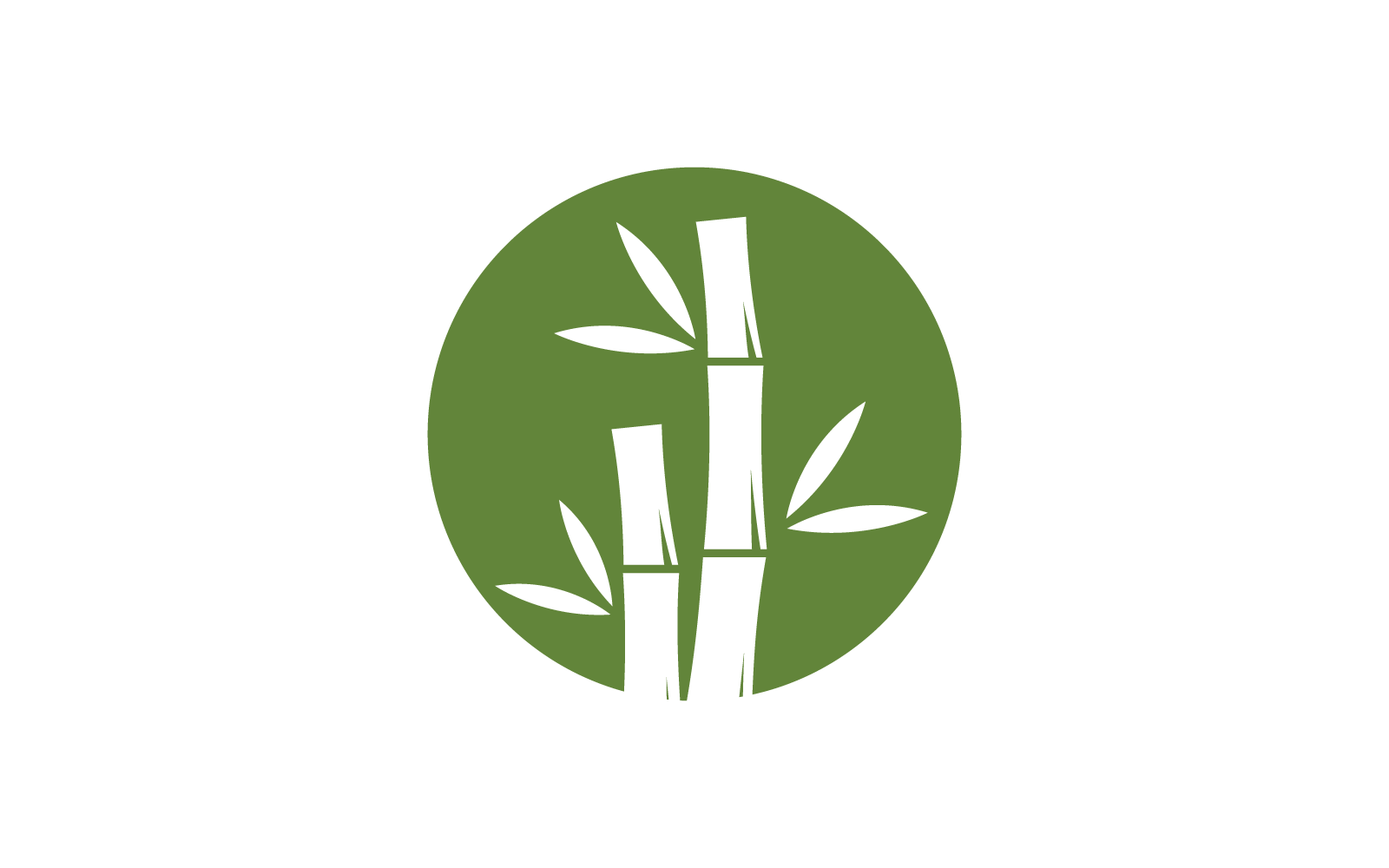 Plantilla vectorial del logotipo de bambú