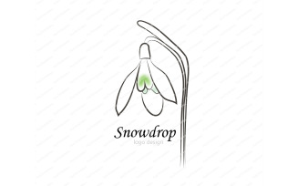 Snowdrop Flower logo design