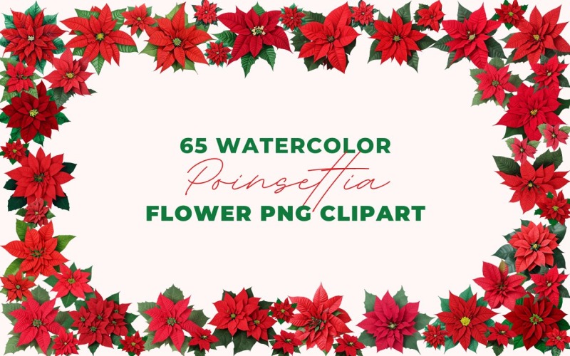 Watercolor Poinsettia Flower Clipart Background