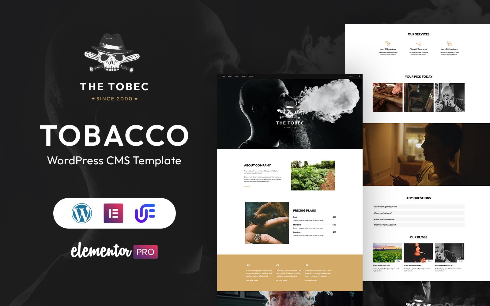Template #369651 Shop Smoke Webdesign Template - Logo template Preview