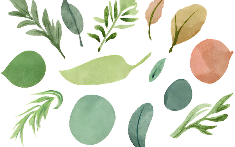 Watercolor leaves and twigs on a white background Background