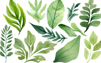Watercolor set of green leaves. Hand drawn