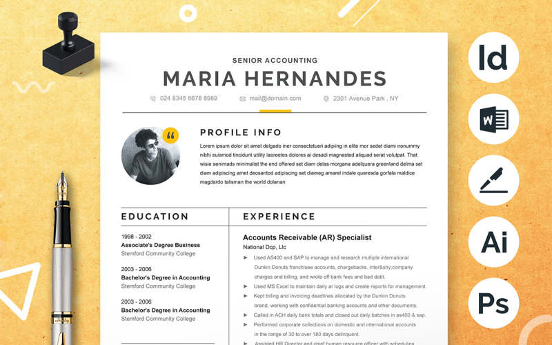 Accountant CV Template, Professional Resume Template