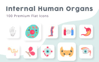 Internal Human Organs 100 premium Flat Icons