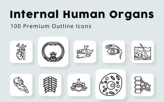 Internal Human Organs 100 premium Outline Icons
