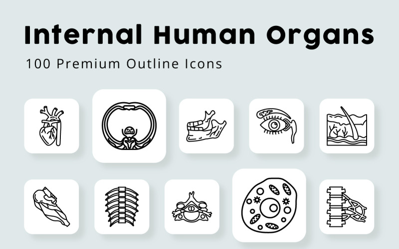 Internal Human Organs 100 premium Outline Icons Icon Set