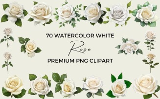 70 Watercolor White Rose PNG Clipart