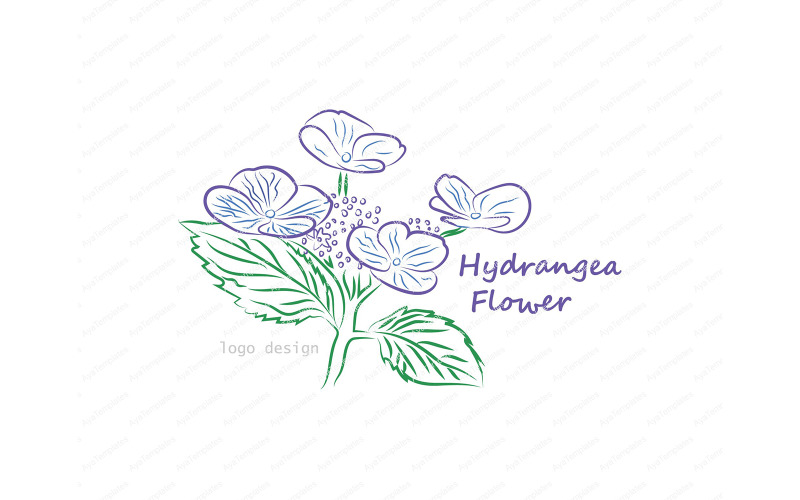 Hydrangea Flower Logo Design Template Logo Template
