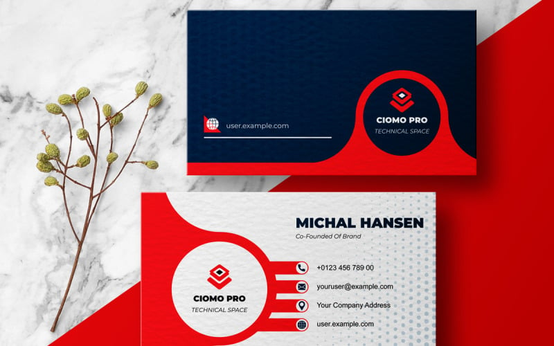 Professional Business Card Templates Layout Corporate Identity