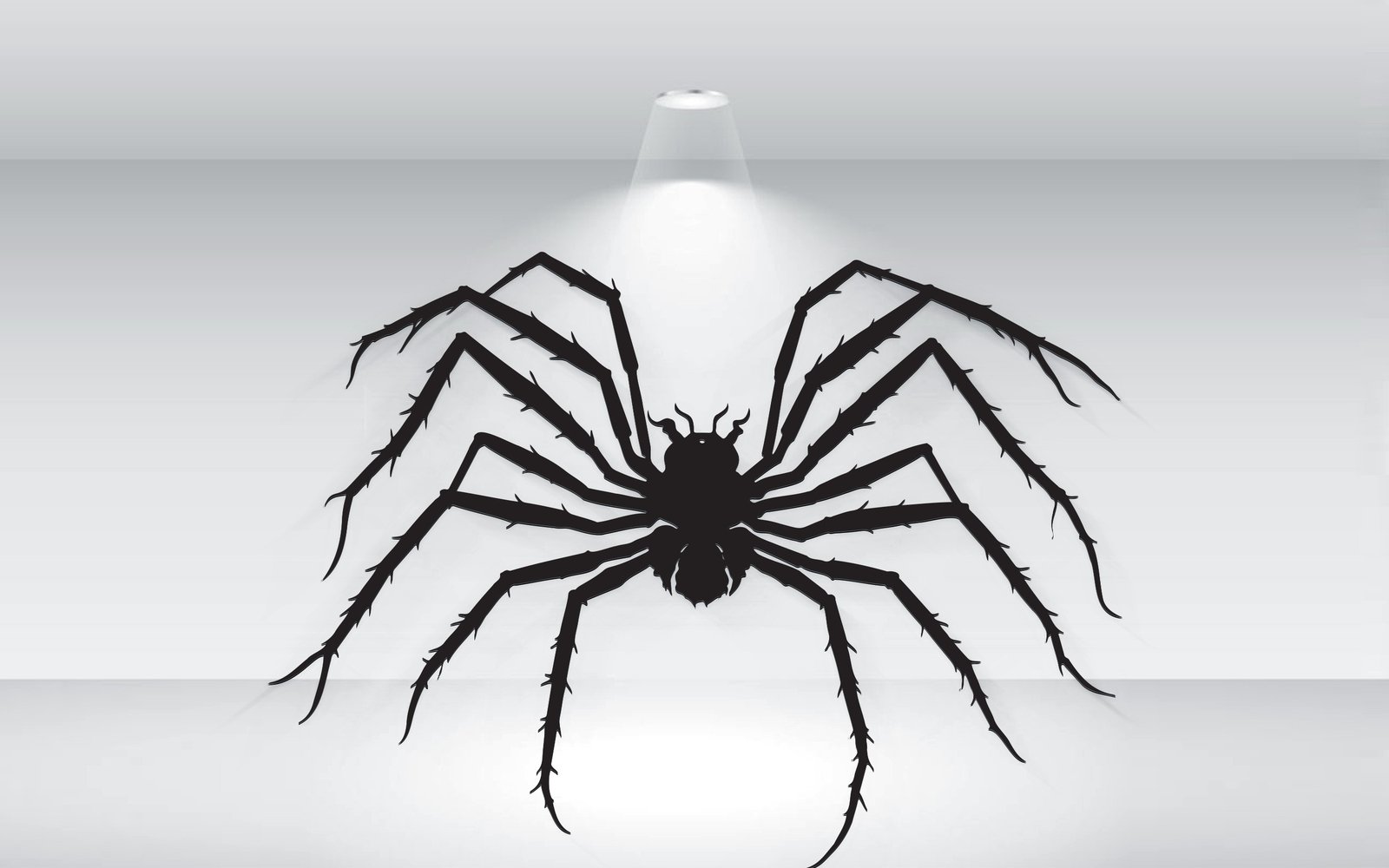 Kit Graphique #373541 Halloween Spider Divers Modles Web - Logo template Preview
