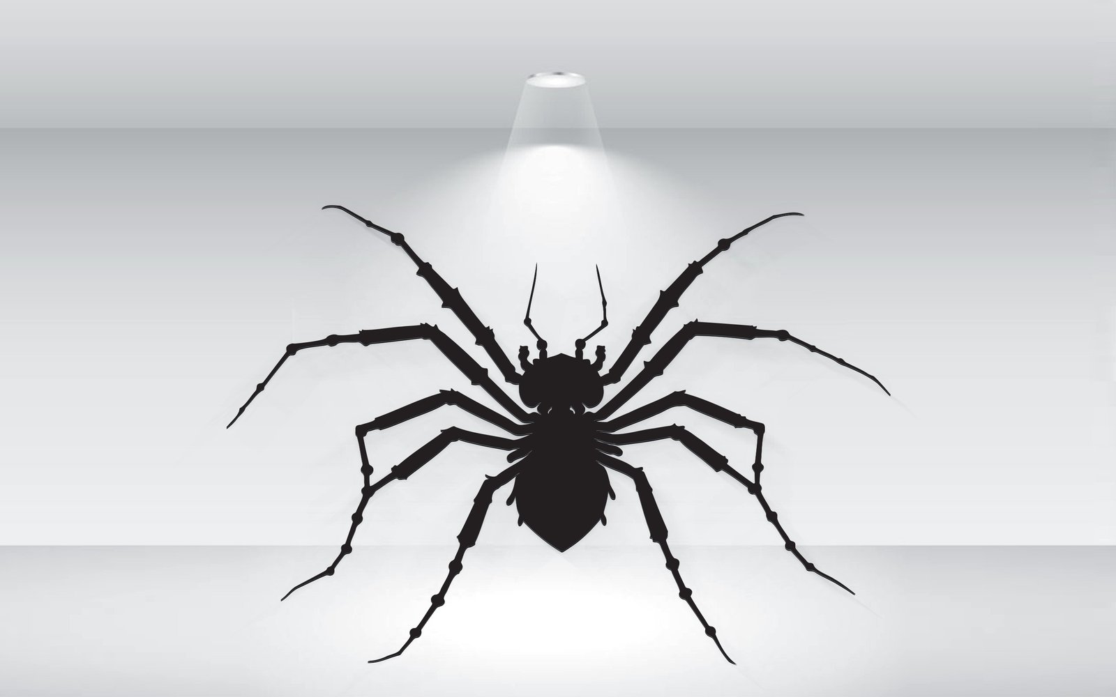 Kit Graphique #373544 Halloween Spider Divers Modles Web - Logo template Preview